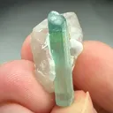 specimen video