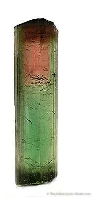 Tourmaline image