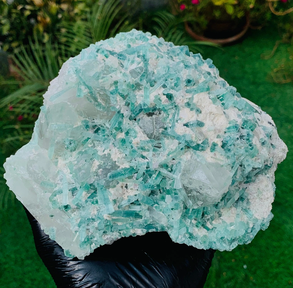 Tourmaline image