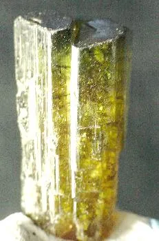 Tourmaline image
