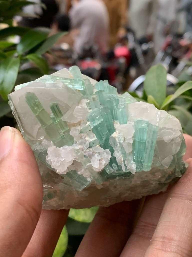 Tourmaline image