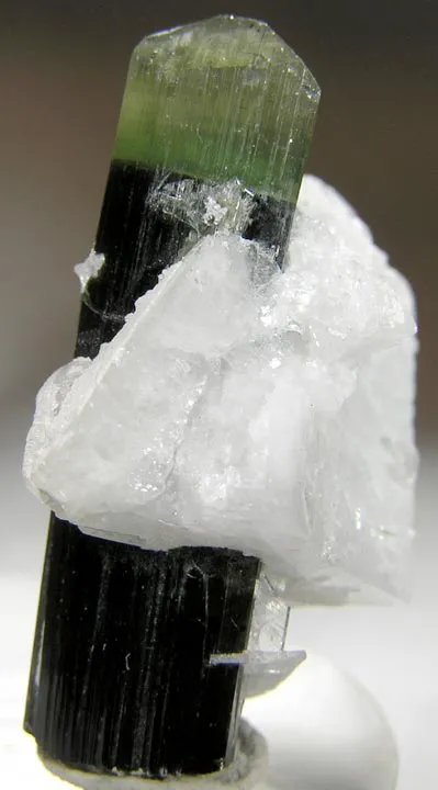 Tourmaline, Albite image