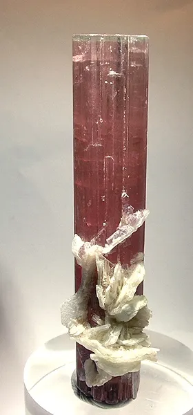 Tourmaline, Albite image