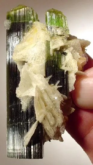 Tourmaline, Albite (Var: Cleavelandite) image