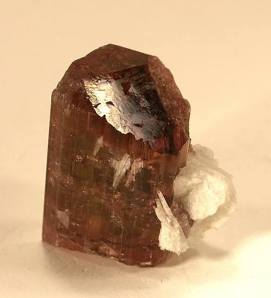 Tourmaline, Albite (Var: Cleavelandite) image