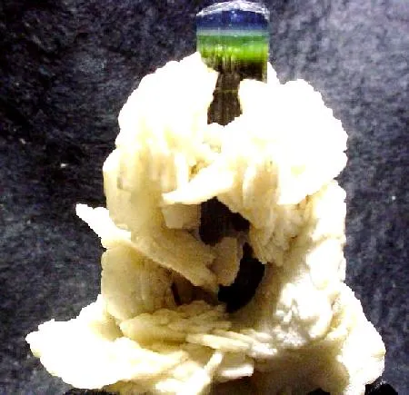 Tourmaline, Albite (Var: Cleavelandite), Hambergite image