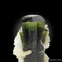 Tourmaline and Albite var. Cleavelandite - image 5