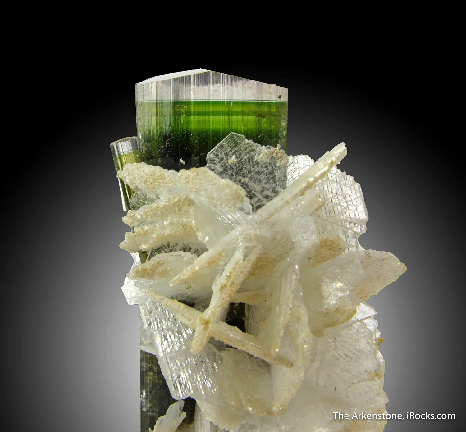 Tourmaline and Albite var. Cleavelandite - image 4