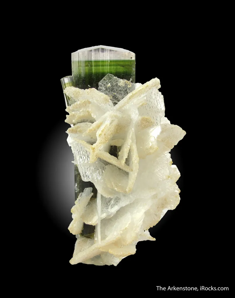 Tourmaline and Albite var. Cleavelandite - image 6