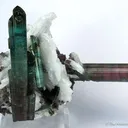 Tourmaline and Cleavelandite - image 1