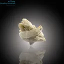 Tourmaline and Quartz Gracefully Nestled on Feldspar - image 1