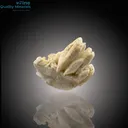 Tourmaline and Quartz Gracefully Nestled on Feldspar - image 3