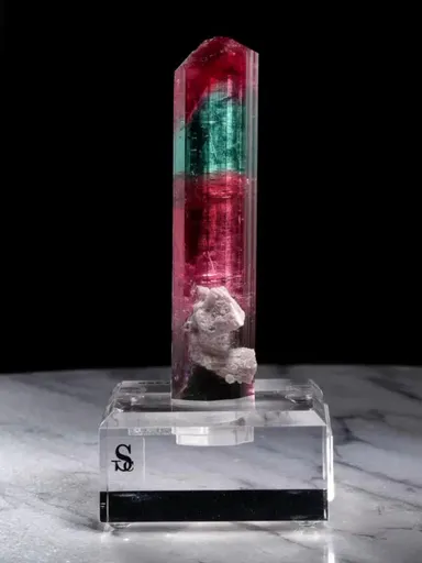 specimen video