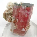 Tourmaline (Blue Cap!) With Albite - image 2
