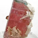 Tourmaline (Blue Cap!) With Albite - image 3