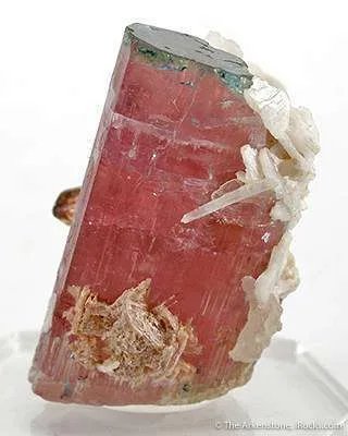 Tourmaline (Blue Cap!) With Albite - image 3