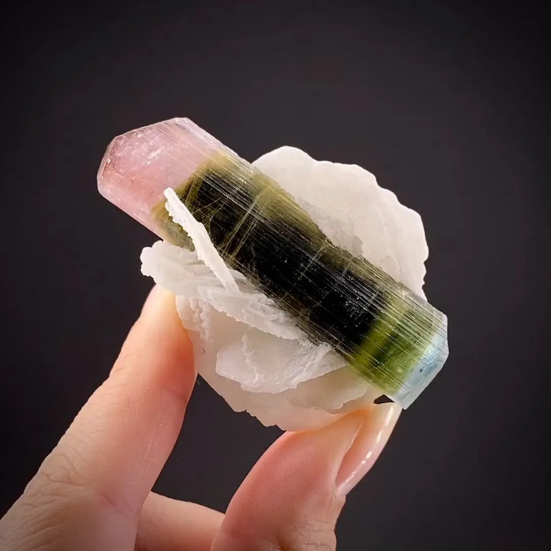 Tourmaline (blue cap) with Cleavelandite - image 2