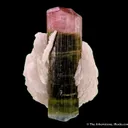 Tourmaline (blue cap) with Cleavelandite - image 4