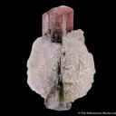Tourmaline (blue cap) with Cleavelandite - image 5