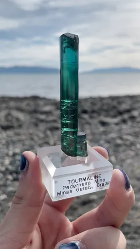 specimen video