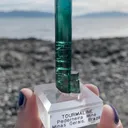 specimen video