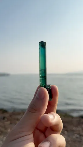 specimen video