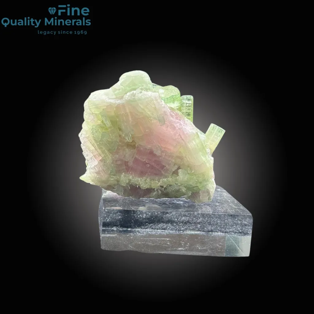 Tourmaline Bunch - image 4