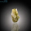Tourmaline Bunch with Quartz on Feldspar Matrix - image 2