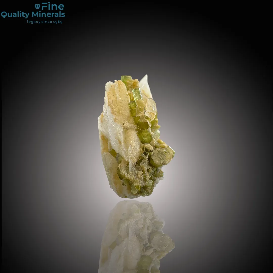 Tourmaline Bunch with Quartz on Feldspar Matrix - image 2