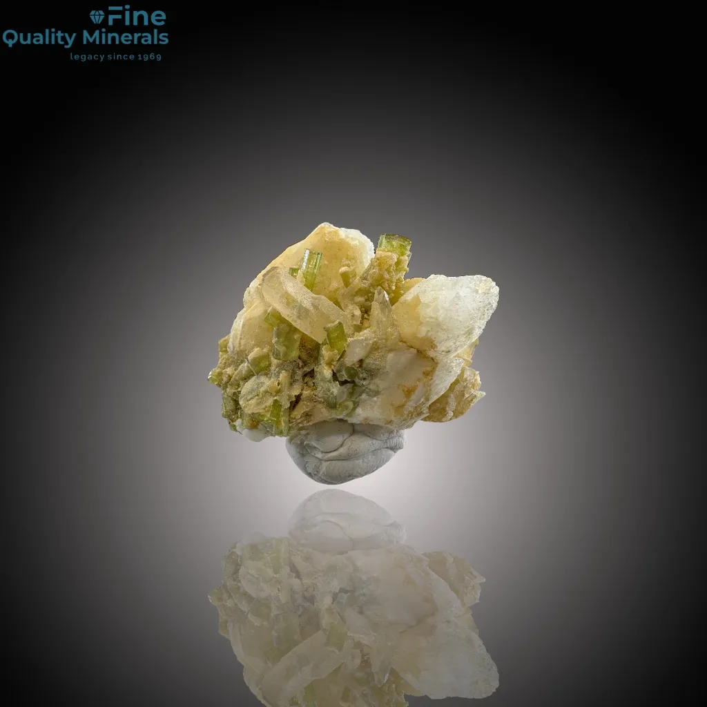 Tourmaline Bunch with Quartz on Feldspar Matrix image
