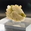 specimen video