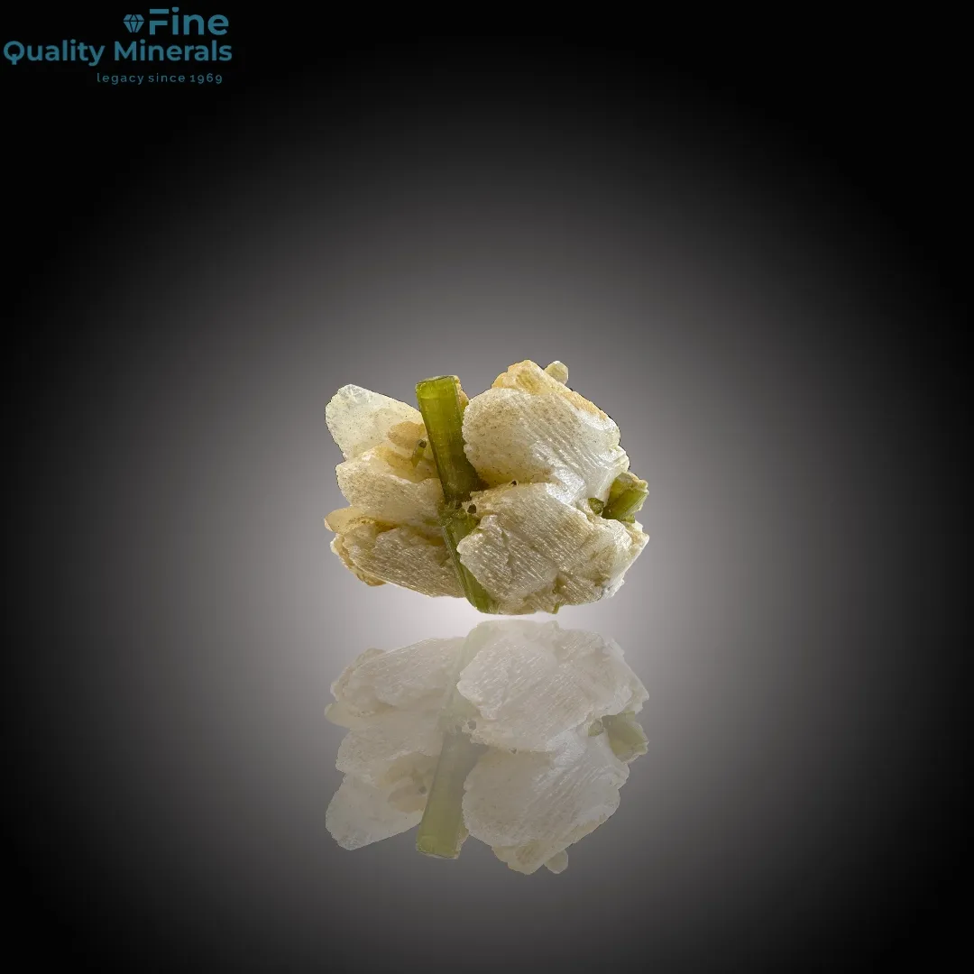 Tourmaline Bunch with Quartz on Feldspar Matrix - image 3