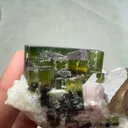 specimen video