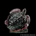 Tourmaline Carving by Gerd Dreher - image 4