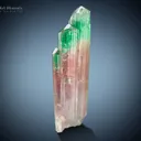 Tourmaline Cluster from Paprok Afghanistan - image 2