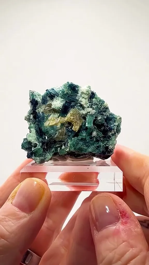 Tourmaline CLUSTER PERFECTION image
