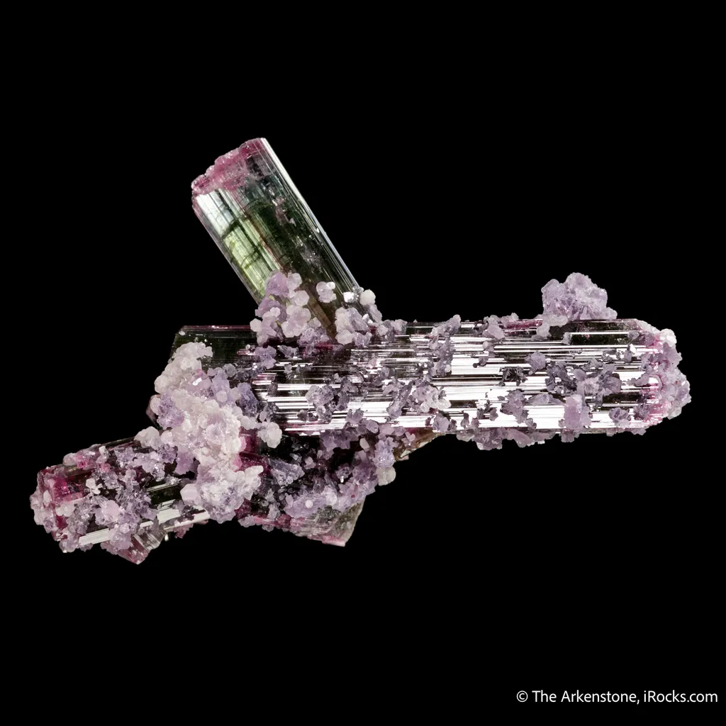 Tourmaline Cluster with Lepidolite (floater) - image 4
