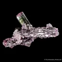 Tourmaline Cluster with Lepidolite (floater) - image 4
