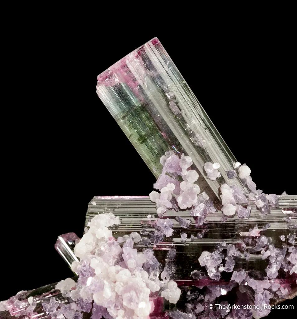 Tourmaline Cluster with Lepidolite (floater) - image 3