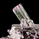 Tourmaline Cluster with Lepidolite (floater) - image 3