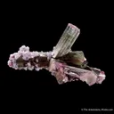 Tourmaline Cluster with Lepidolite (floater) - image 2