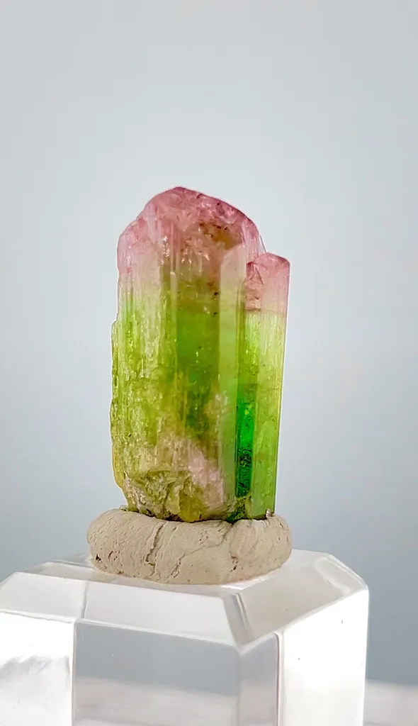 Tourmaline Crystal from Afghanistan - image 8