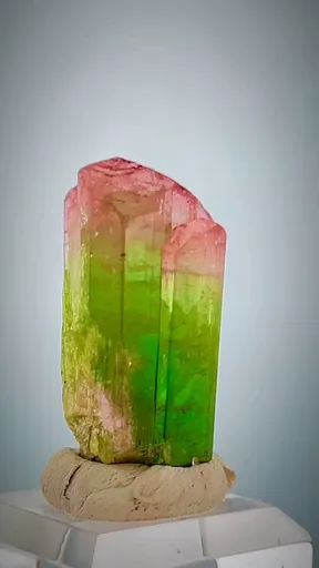 specimen video