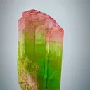 specimen video