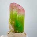 Tourmaline Crystal from Afghanistan - image 5