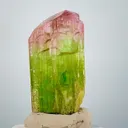 Tourmaline Crystal from Afghanistan - image 4