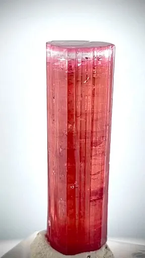 specimen video