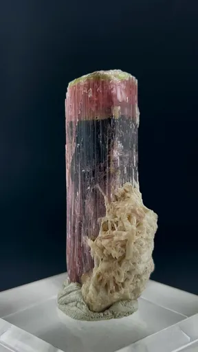 specimen video