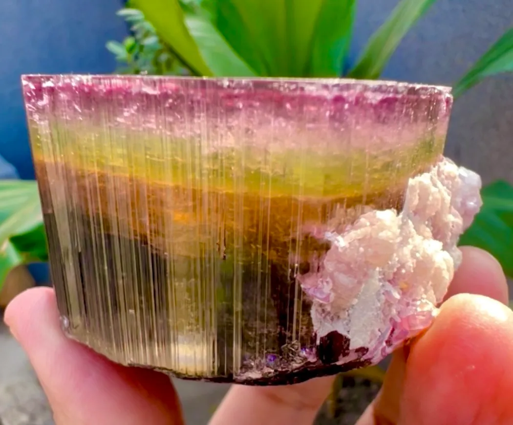 Tourmaline Crystal witj Lepidolite - image 6