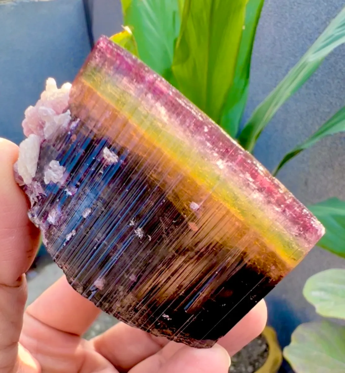 Tourmaline Crystal witj Lepidolite - image 5